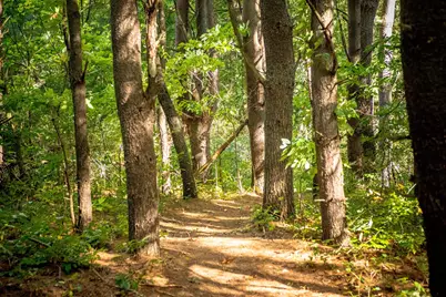 667 Pierce Road, Plainwell, MI 49080 - Photo 15