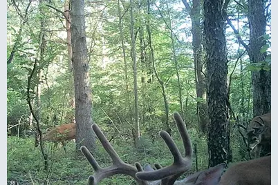 667 Pierce Road, Plainwell, MI 49080 - Photo 9