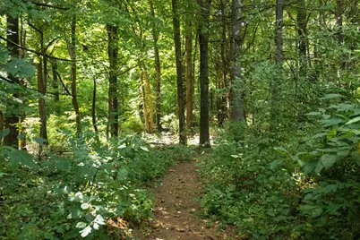 667 Pierce Road, Plainwell, MI 49080 - Photo 21