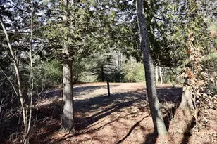 20334 11 Mile Rd, Leroy, MI 49655 - Photo 29