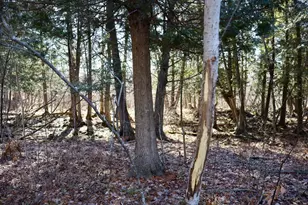 20334 11 Mile Rd, Leroy, MI 49655 - Photo 15