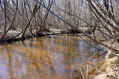 20334 11 Mile Road, Leroy, MI 49655 - Photo 3