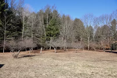 20334 11 Mile Road, Leroy, MI 49655 - Photo 33