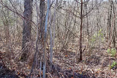 20334 11 Mile Road, Leroy, MI 49655 - Photo 11