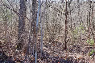 20334 11 Mile Rd, Leroy, MI 49655 - Photo 11