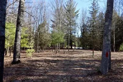 20334 11 Mile Road, Leroy, MI 49655 - Photo 23