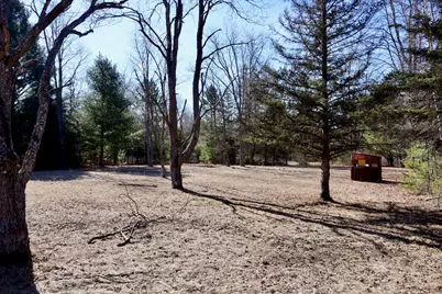 20334 11 Mile Road, Leroy, MI 49655 - Photo 5