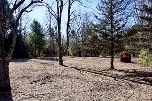 20334 11 Mile Rd, Leroy, MI 49655 - Photo 5