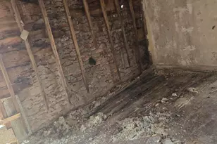 12783 Littlefield St, Detroit, MI 48227 - Photo 5