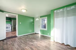 411 E Green St, Hastings, MI 49058 - Photo 13