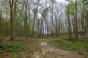 22431 Paulson Rd, Gobles, MI 49055 - Photo 37