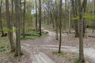 22431 Paulson Rd, Gobles, MI 49055 - Photo 41