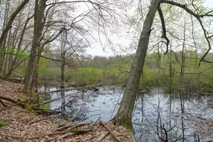 22431 Paulson Rd, Gobles, MI 49055 - Photo 33