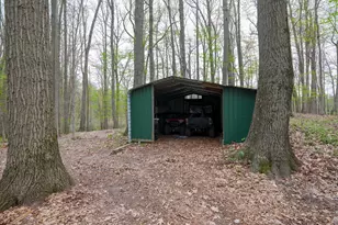 22431 Paulson Rd, Gobles, MI 49055 - Photo 9