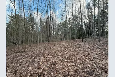 0 Tower Hill, Sawyer, MI 49125 - Photo 13