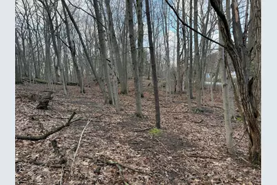 0 Tower Hill, Sawyer, MI 49125 - Photo 9