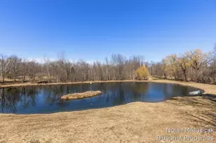 15342 W Almy, Howard City, MI 49329 - Photo 49