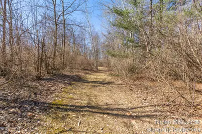 15342 W Almy, Howard City, MI 49329 - Photo 61