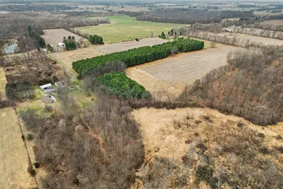 1 1/2 Mile Road, East Leroy, MI 49051 - Photo 11