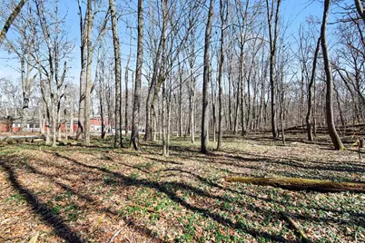 Vl Garver Lake Road, Edwardsburg, MI 49112 - Photo 15