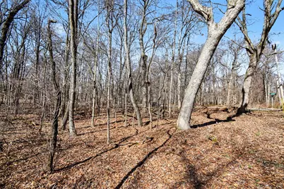 Vl Garver Lake Road, Edwardsburg, MI 49112 - Photo 13