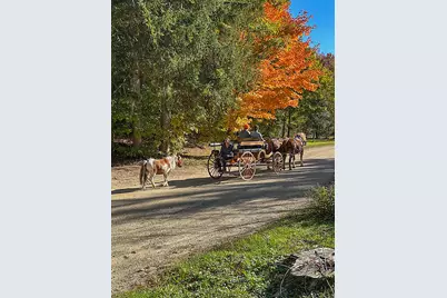 46 Camp Madron Road #46, Buchanan, MI 49107 - Photo 51