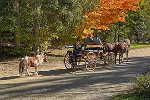 46 Camp Madron Rd, Buchanan, MI 49107 - Photo 51