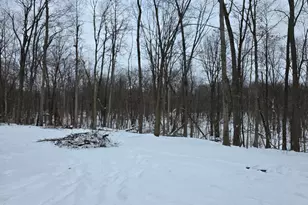 28660 E Baseline Hwy, Springport, MI 49284 - Photo 5