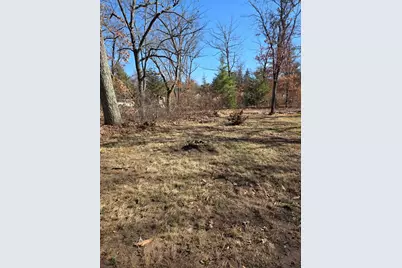 2995 W Byron Street, Baldwin, MI 49304 - Photo 23