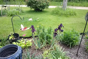 14 S 5th St, Morley, MI 49336 - Photo 21