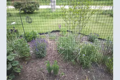 14 S 5th Street, Morley, MI 49336 - Photo 13