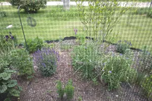 14 S 5th St, Morley, MI 49336 - Photo 13