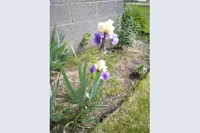 14 S 5th Street, Morley, MI 49336 - Photo 11