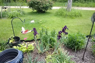 14 S 5th St, Morley, MI 49336 - Photo 15