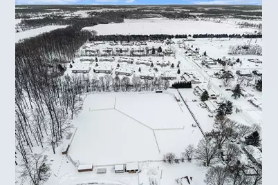 120 Stoli Court, Onsted, MI 49265 - Photo 35