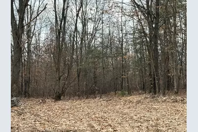 V/L Yawger Road, Battle Creek, MI 49017 - Photo 5