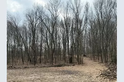 V/L Yawger Road, Battle Creek, MI 49017 - Photo 1