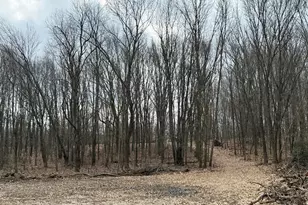 V/L Yawger Rd, Battle Creek, MI 49017 - Photo 1