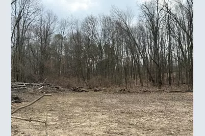 V/L Yawger Road, Battle Creek, MI 49017 - Photo 3