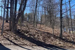 N Pine St, Shelby, MI 49455 - Photo 1