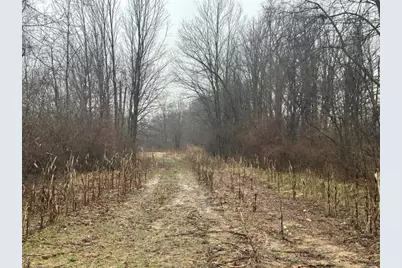 S Hillsdale Road #0 V/L, Hillsdale, MI 49242 - Photo 1