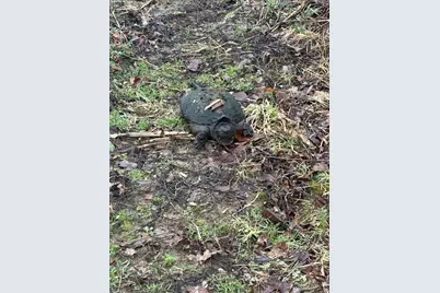 S Hillsdale Road #0 V/L, Hillsdale, MI 49242 - Photo 15