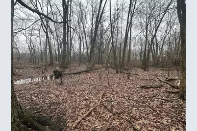 S Hillsdale Road #0 V/L, Hillsdale, MI 49242 - Photo 7