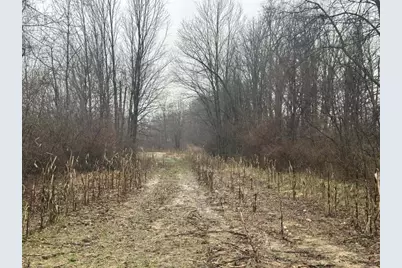 S Hillsdale Road #0 V/L, Hillsdale, MI 49242 - Photo 17