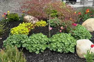 10201 Opal Ridge Dr, Onekama, MI 49675 - Photo 9