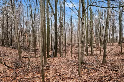 24th Avenue, Marne, MI 49435 - Photo 7