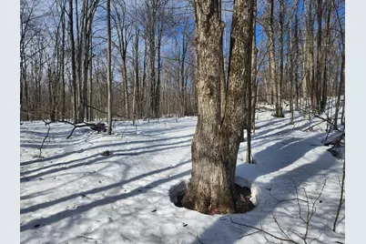 Valleyridge Circle, Alba, MI 49611 - Photo 1