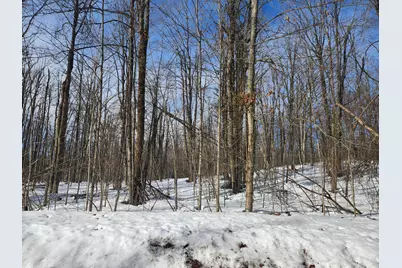 Valleyridge Circle, Alba, MI 49611 - Photo 3