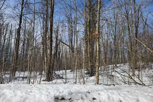 Valleyridge Circle, Alba, MI 49611 - Photo 3