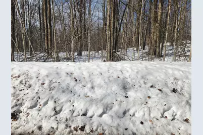 Valleyridge Circle, Alba, MI 49611 - Photo 7